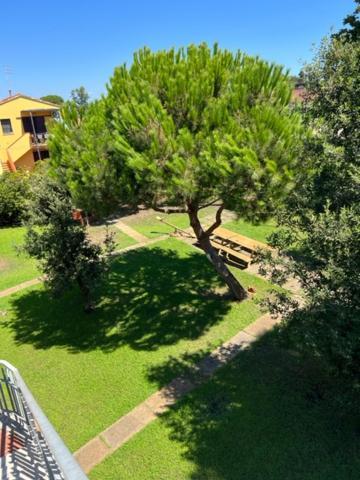 Apartament Complesso Oasi Tirrenia Zewnętrze zdjęcie